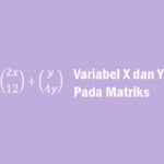 x dan y matriks